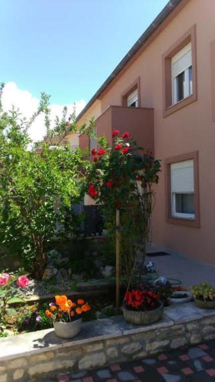 Apartments Benic Zadar Exterior foto